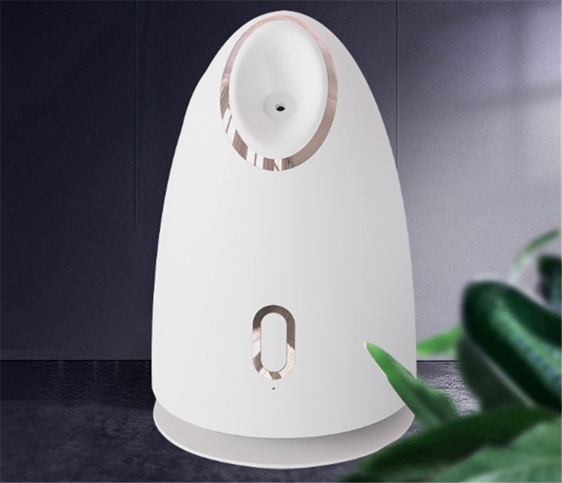 Beauty Steaming Face Device Household Steaming Face Device Hot Spray Water Meter