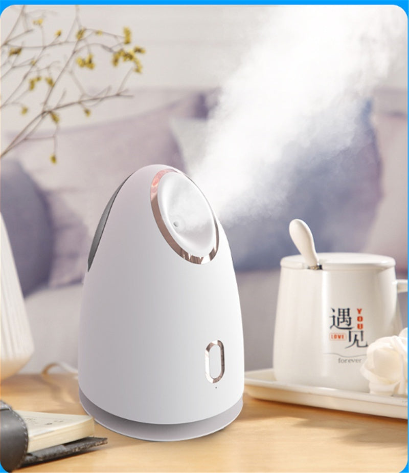 Beauty Steaming Face Device Household Steaming Face Device Hot Spray Water Meter