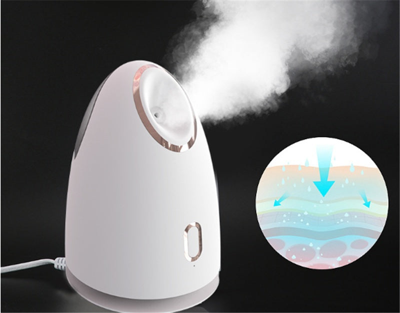 Beauty Steaming Face Device Household Steaming Face Device Hot Spray Water Meter